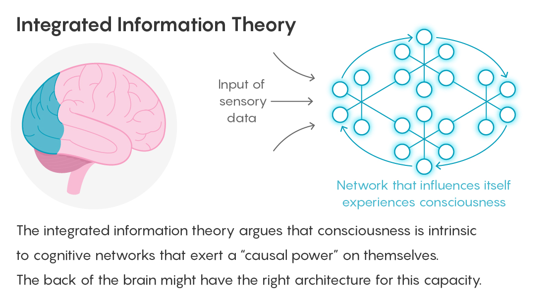 Integrated Information Theory (IIT) preview
