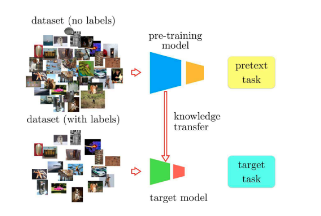 Self Supervised Learning preview